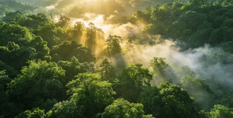 锡林郭勒肺癌172基因检测图片1