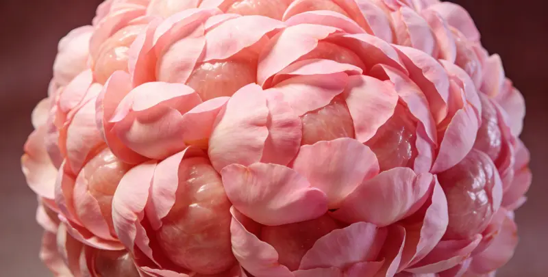 锡林郭勒BRCA1/2乳腺癌卵巢癌基因检测图片1